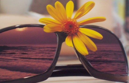 Summer Eyeglasses